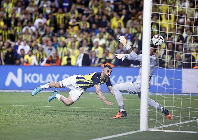 本文将为您 本文将为您