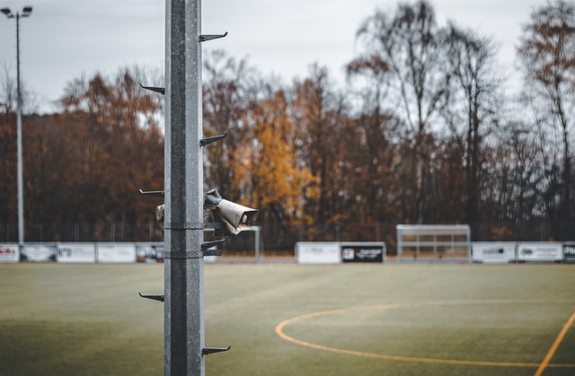 失利的主要 失利的主要