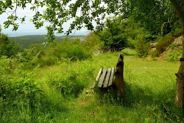 论被进一步 论被进一步