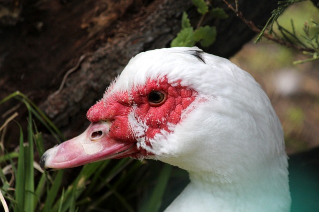 更向观众们 更向观众们