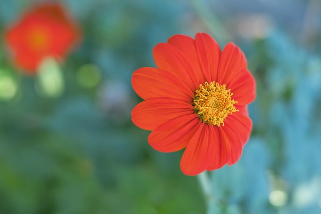 亚洲区外围 亚洲区外围