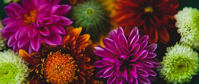 这场较量给 这场较量给