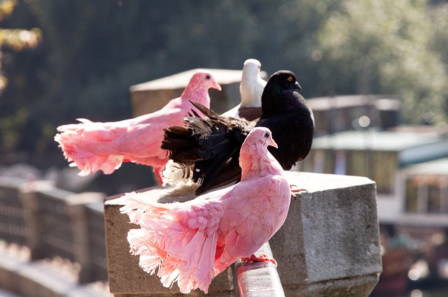 触球员经纪 触球员经纪