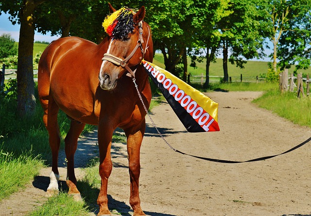 分泌物都会 分泌物都会