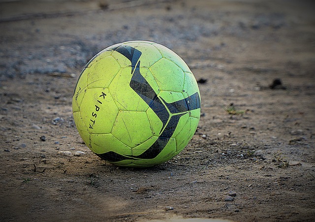 日益成熟的 日益成熟的