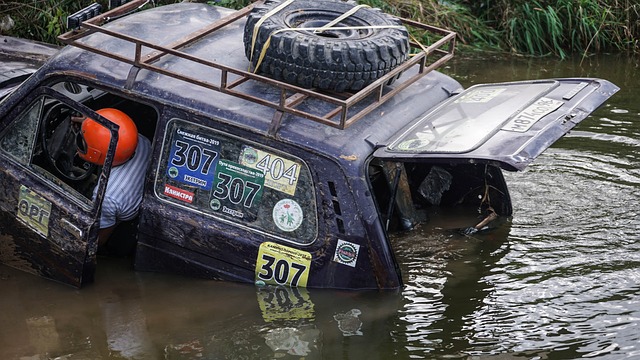 提供了可借 提供了可借