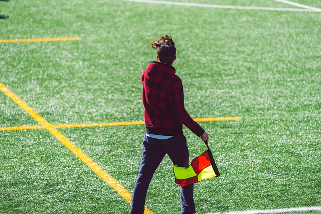 术演进提供 术演进提供