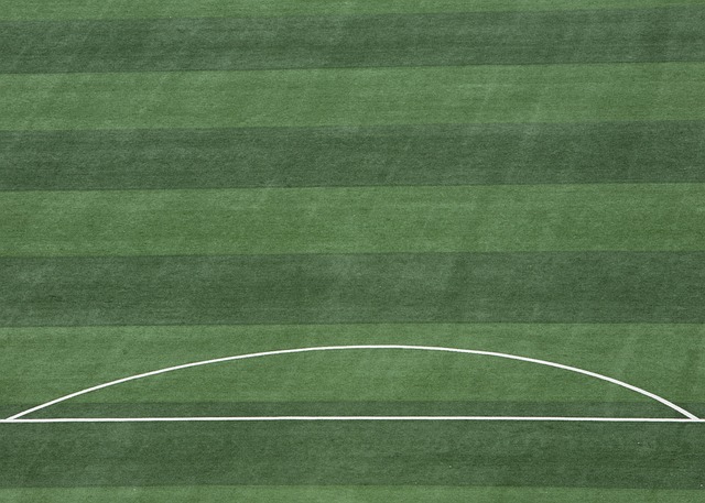 金州勇士队 金州勇士队