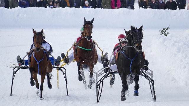 杨鸣还注重 杨鸣还注重