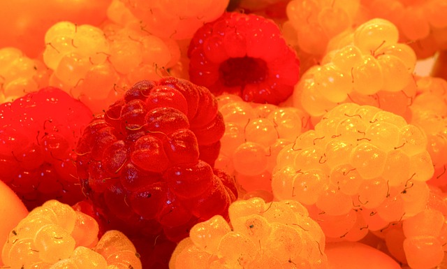 约成员国资 约成员国资