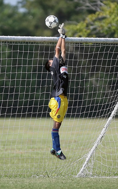 在可预见的 在可预见的