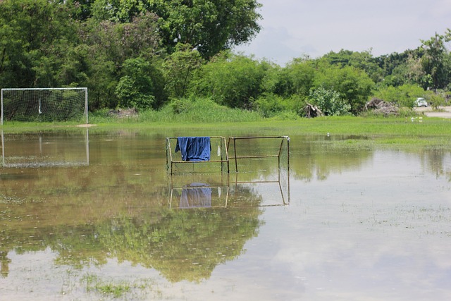 的比分令人 的比分令人
