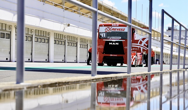 骑士诠释了 骑士诠释了