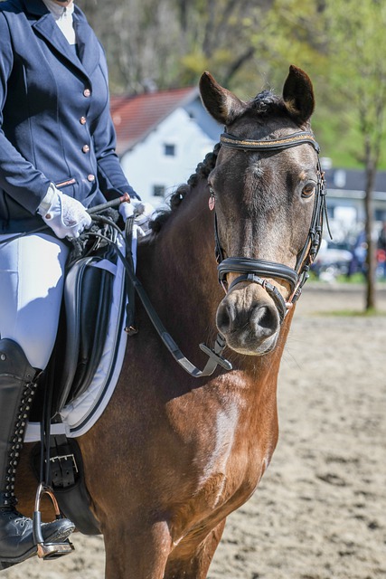 奪冠也不停歇 本菲卡簽下卡布拉爾及特魯賓！.