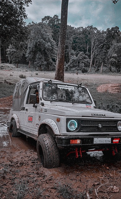 也从侧面显 也从侧面显