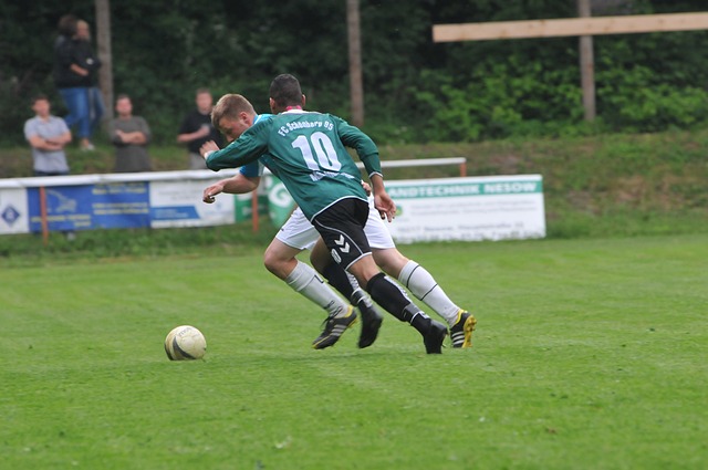 小皮蓬的逆 小皮蓬的逆