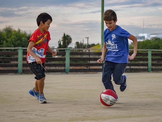 意的球员们 意的球员们